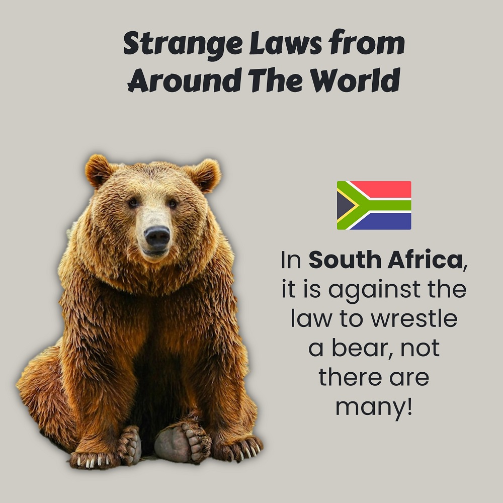 Strange Laws From Around The World That Still Exist Blist