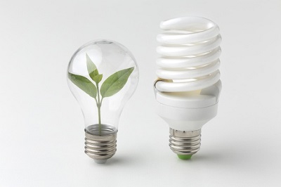 Money Saving Tip: Use Energy Efficient Bulbs