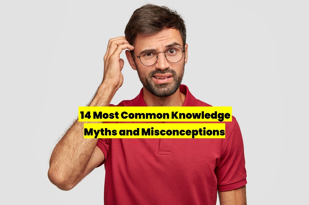 14 Common Myths And Misconceptions That Are Not True