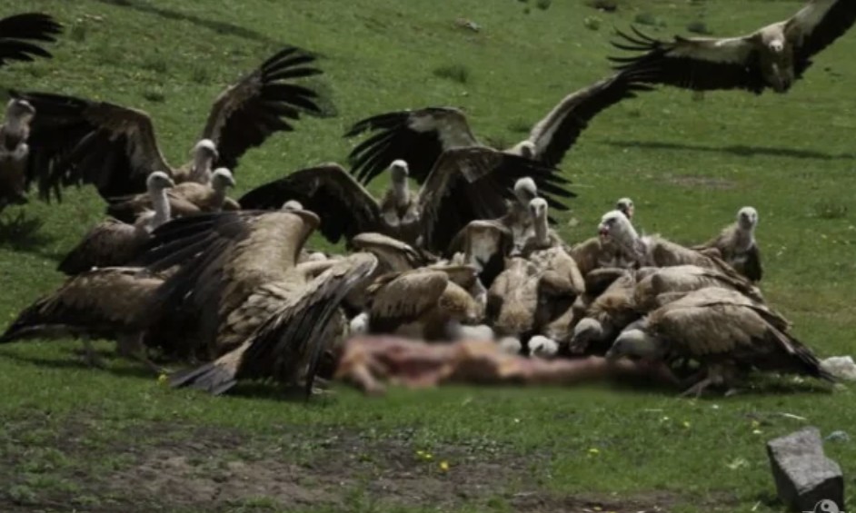 Sky Burials – Tibet Sky Burials – Tibet