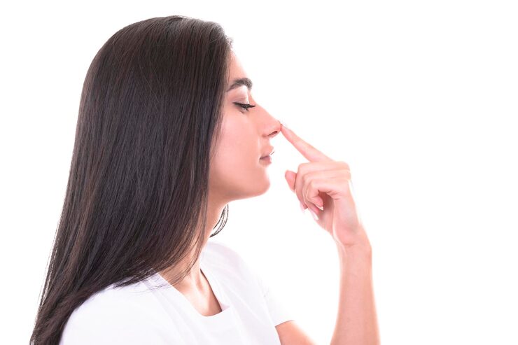 Researchers discovered that the nose contains erectile tissue—similar to what’s found in reproductive organs Researchers discovered that the nose contains erectile tissue—similar to what’s found in reproductive organs