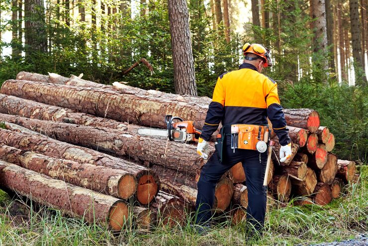 Logging Workers is one of the most dangerous jobs