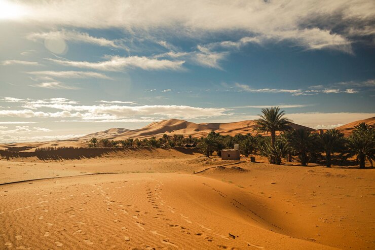 International recognition is divided, but it really doesn't matter as long as the United States continues to support Morocco sovereignty claims